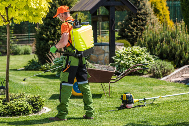 Best Lawn Pest Control  in Ridgemark, CA